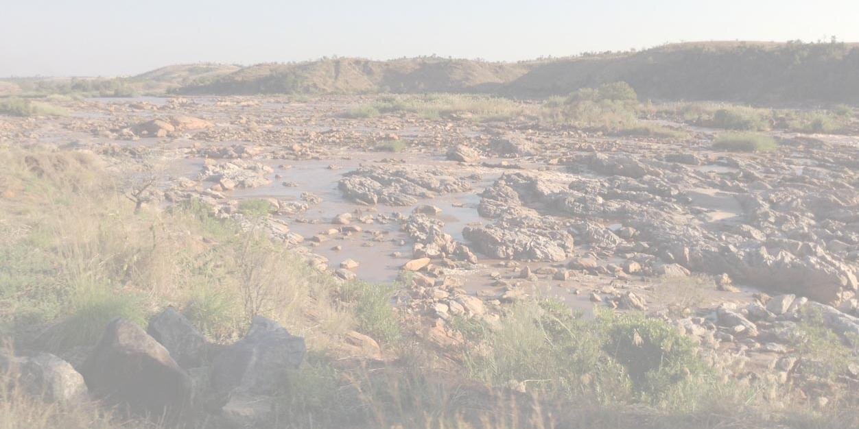 zoe crossland banner