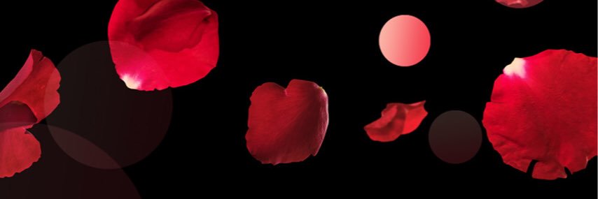 Afaf banner
