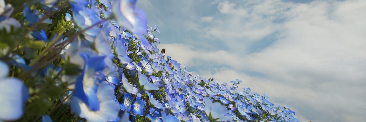 mohu9J's profile banner image
