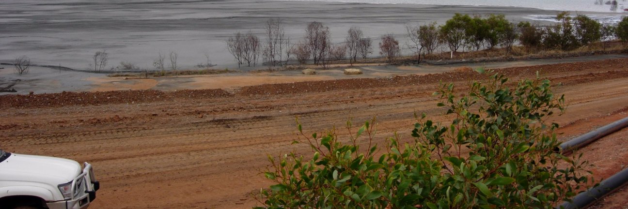 Suzie Reichman banner