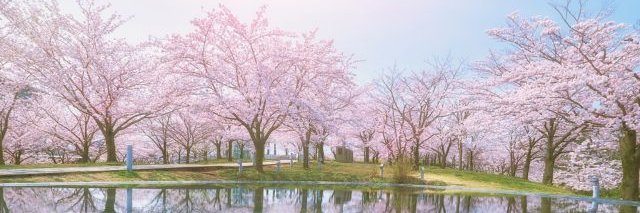 新潟市民芸術文化会館 りゅーとぴあ banner