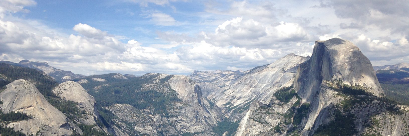 Gina Cole ☮️ 💙💛 banner