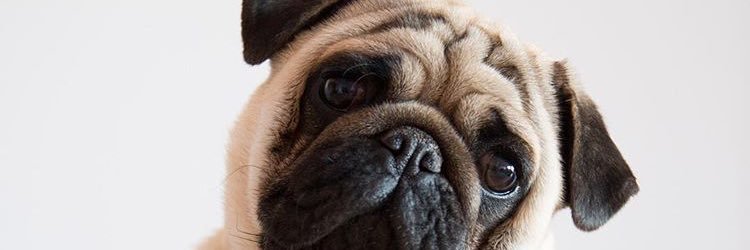 joseSchezdj's profile banner image