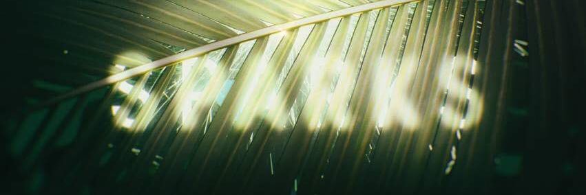 NoaMoonOfficial's profile banner image