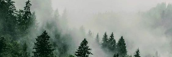 Mannypr_'s profile banner image