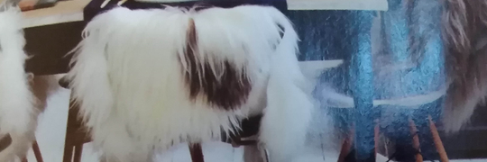 DavidPap's profile banner image