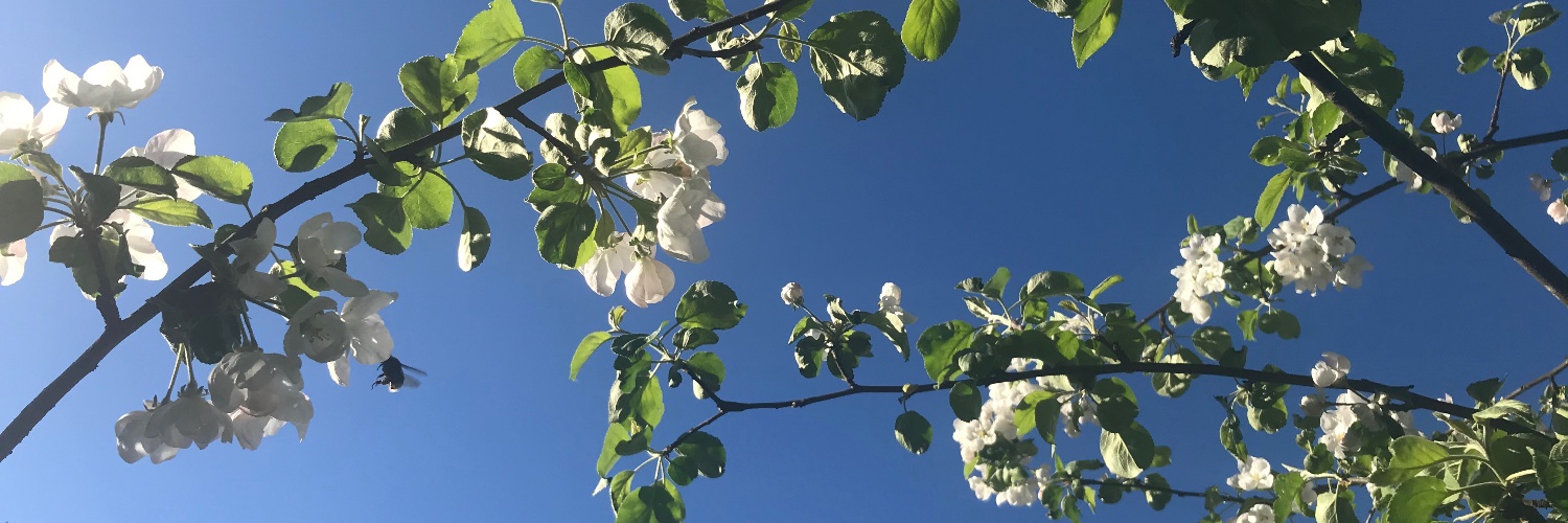 MariaPuustinen's profile banner image