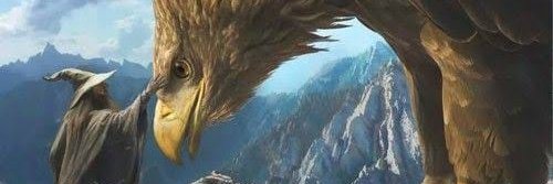 oRC_oz's profile banner image