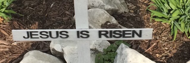 Michael Valentine banner