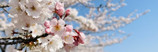 ayusyake Profile Banner