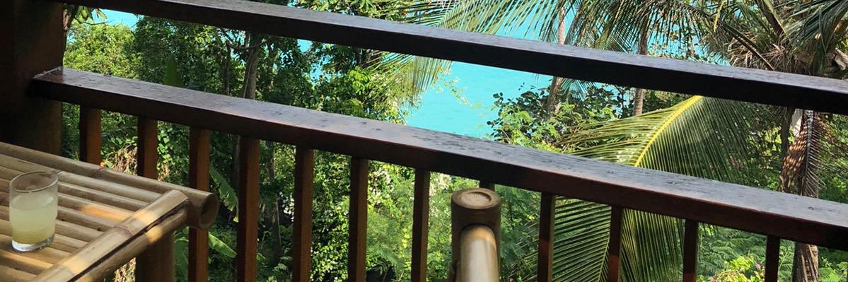 DonJrSitting's profile banner image