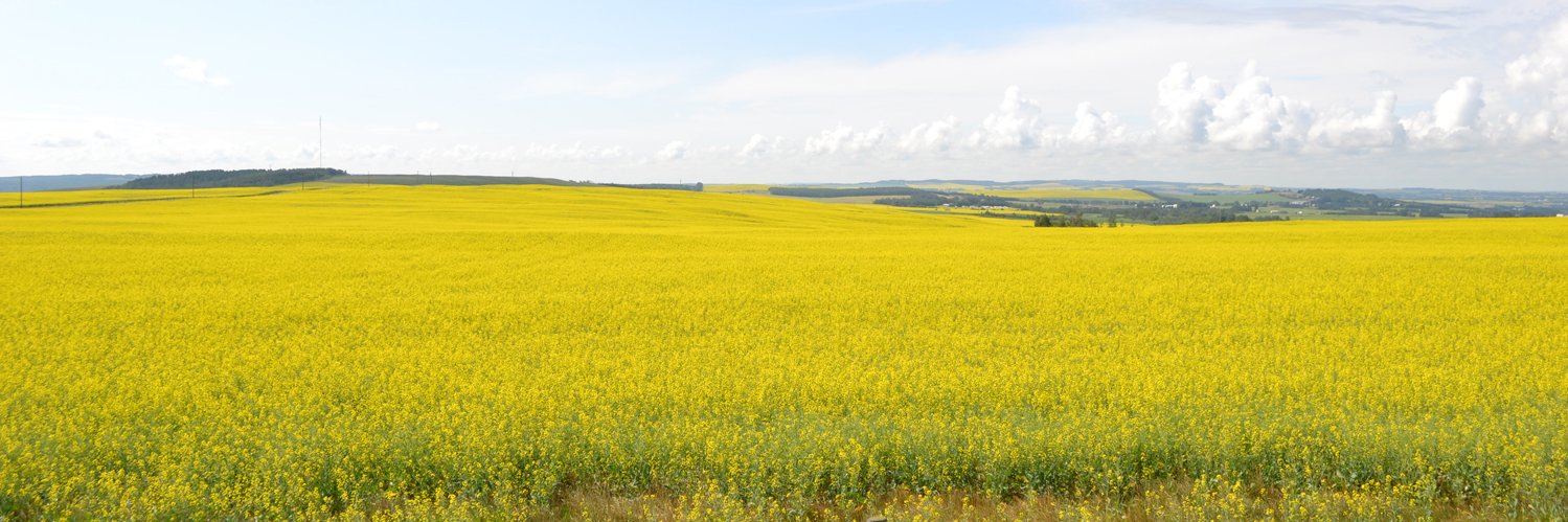 Red Deer County banner