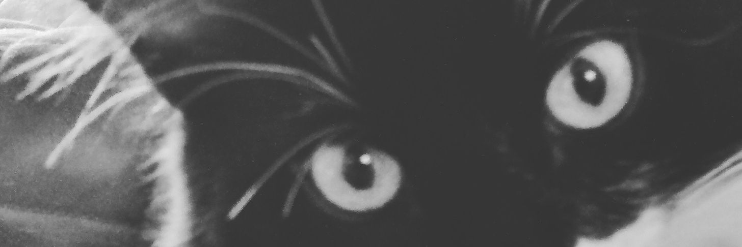 karitofrench's profile banner image