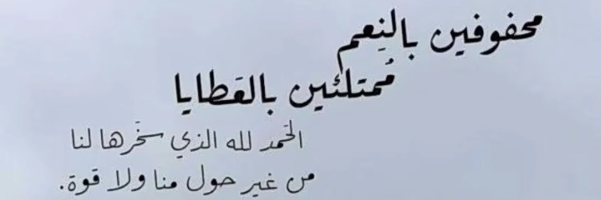 Deema Turki banner