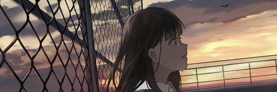 francymarcato's profile banner image