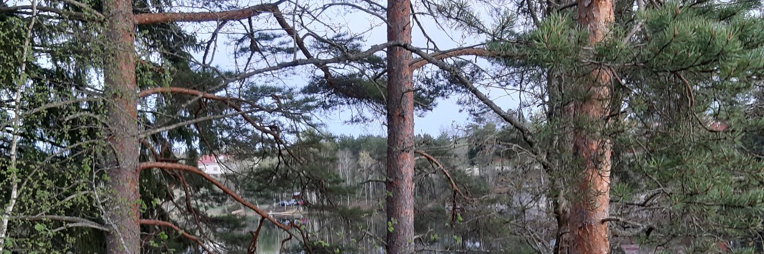 SoiliUV's profile banner image