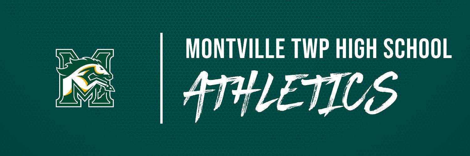 MTHS Athletics banner