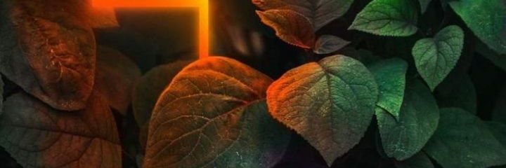 mykellss's profile banner image