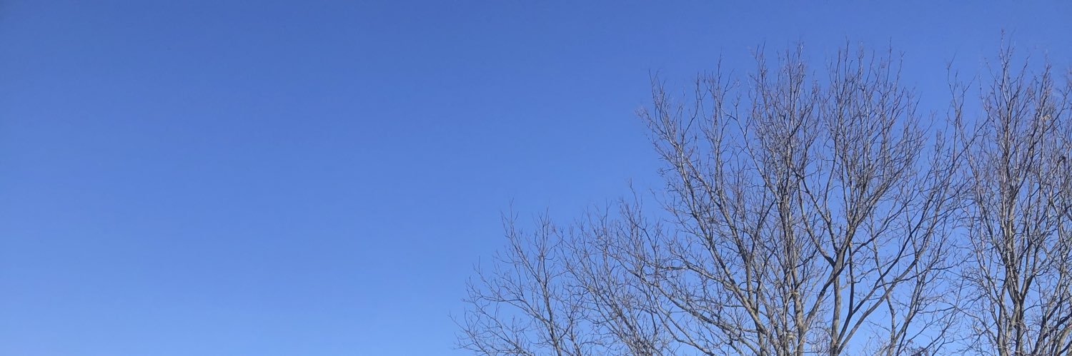 GunstoneMelissa's profile banner image