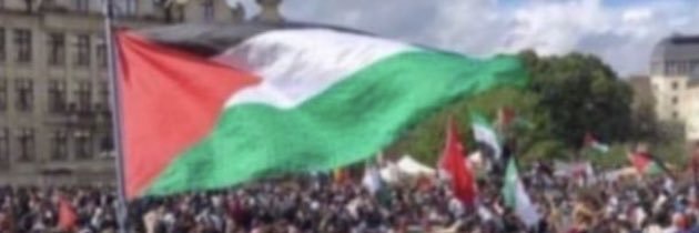 rahafabed9's profile banner image