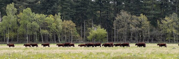 DoddingtonHall Profile Banner