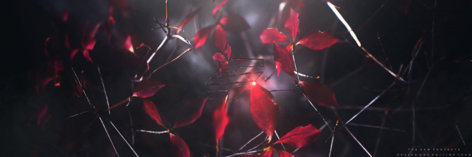 AlejoRzu's profile banner image