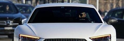 shy banner