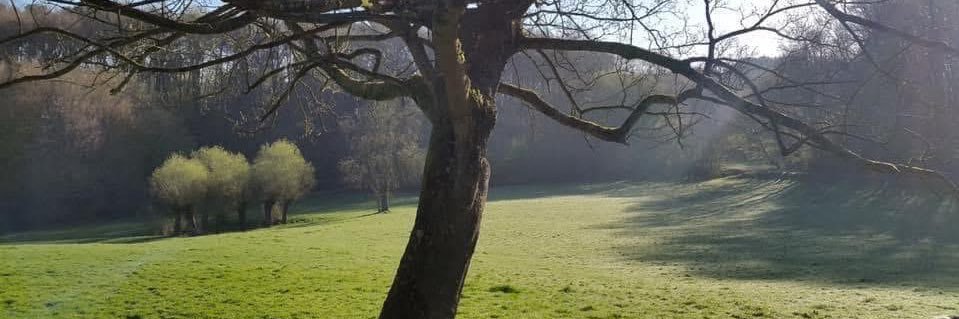 NicOle Lechat banner