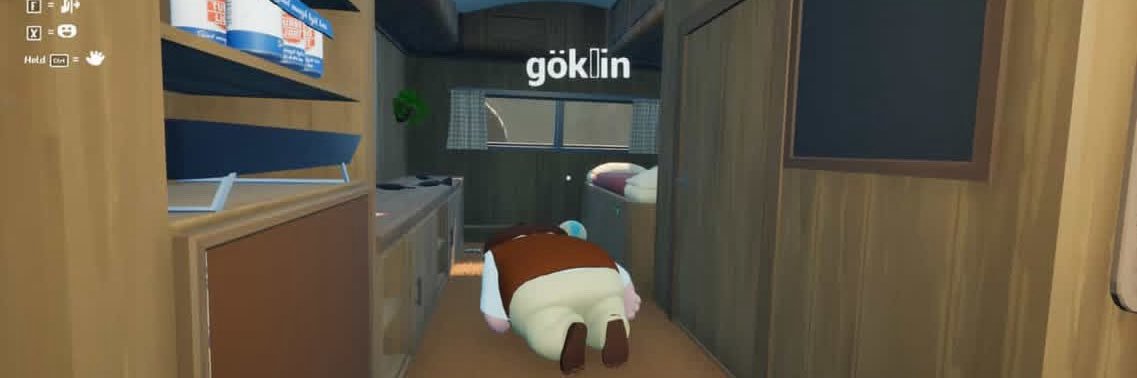 gökşin banner