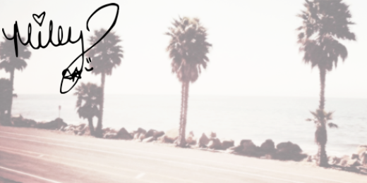 sheispp's profile banner image