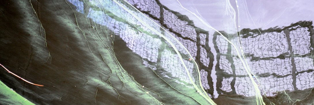 AnneKrinsky's profile banner image