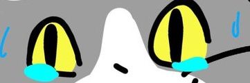 nyanpote's profile banner image