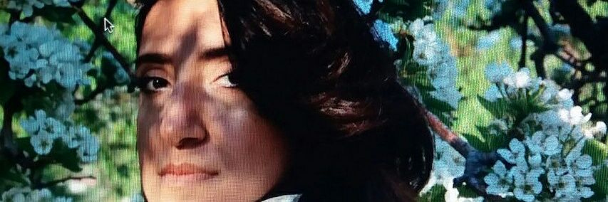 hediyeguven's profile banner image
