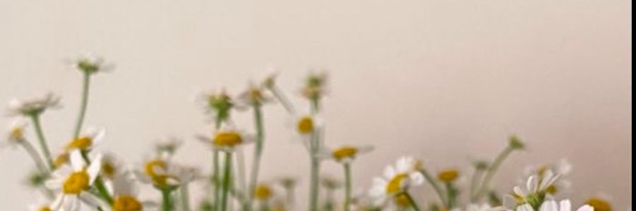 Wafa_AlGhamdy's profile banner image
