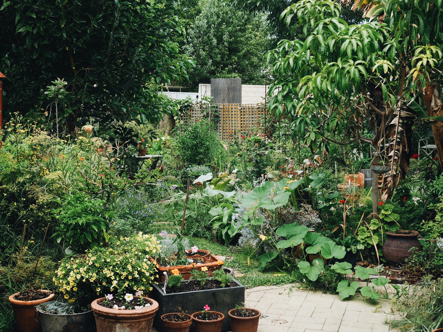 Casey Joy | Gardening with Casey Joy banner