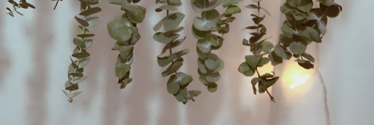 Xinoou's profile banner image