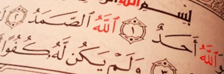 zozoyo7's profile banner image