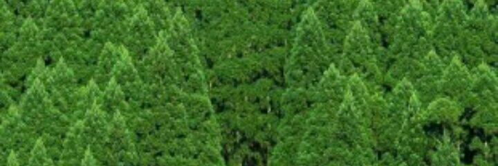 JanMuhammadKaly's profile banner image