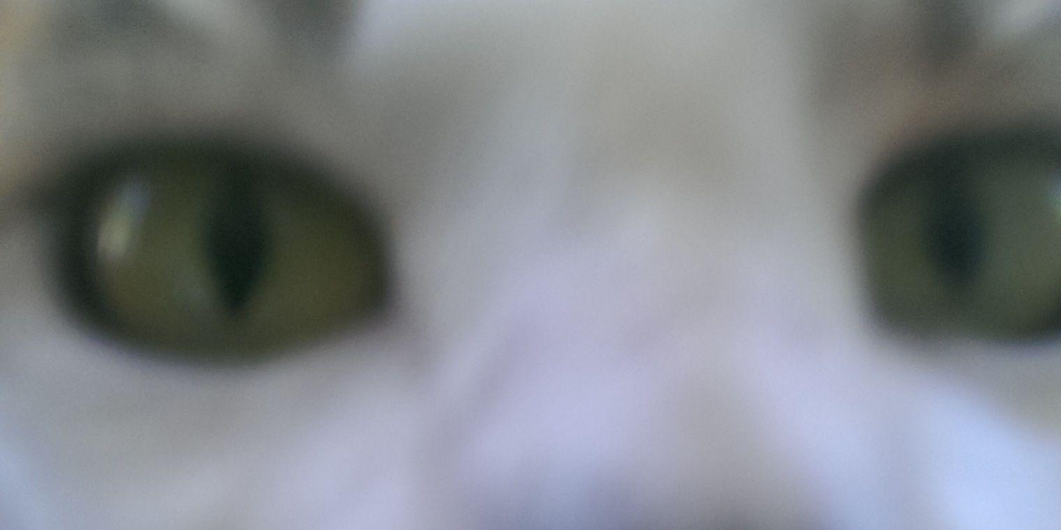 mac_dead's profile banner image
