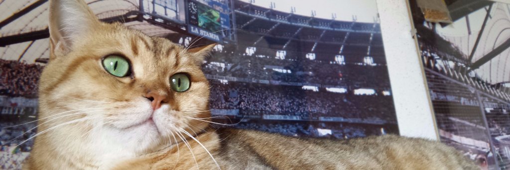 Enzo039's profile banner image