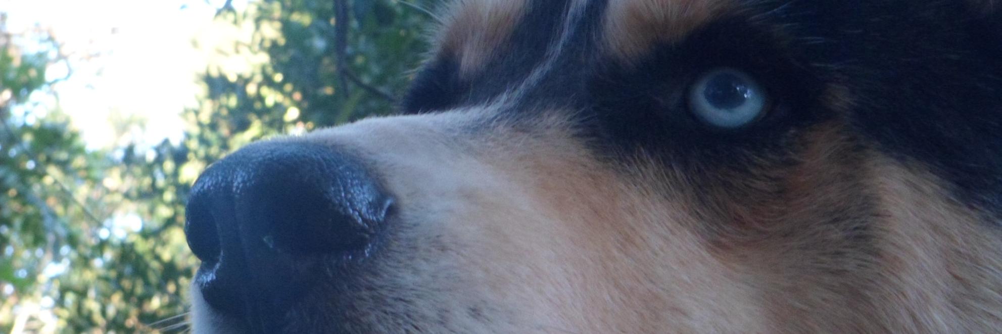 Pytyfreitas's profile banner image