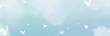 t.co banner