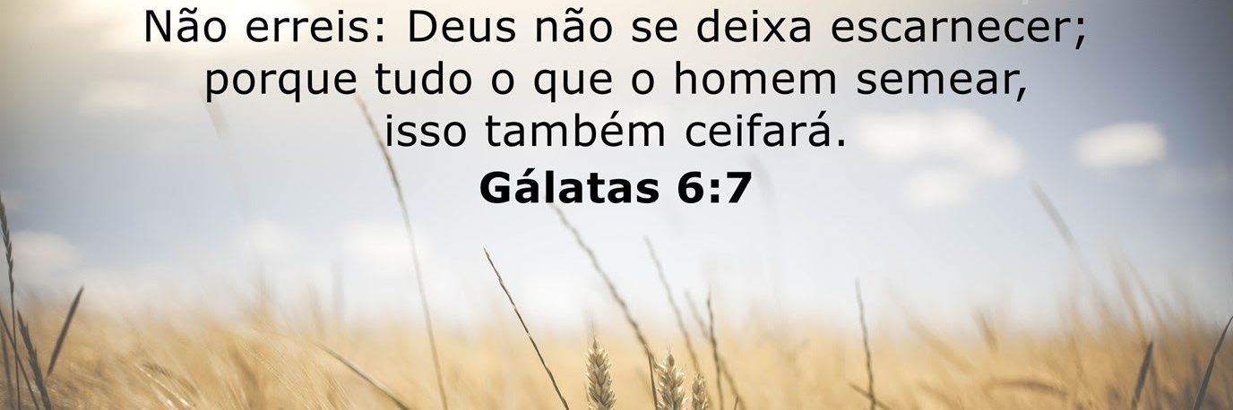 Ana #BrazilWasStolen ✝🇧🇷 banner