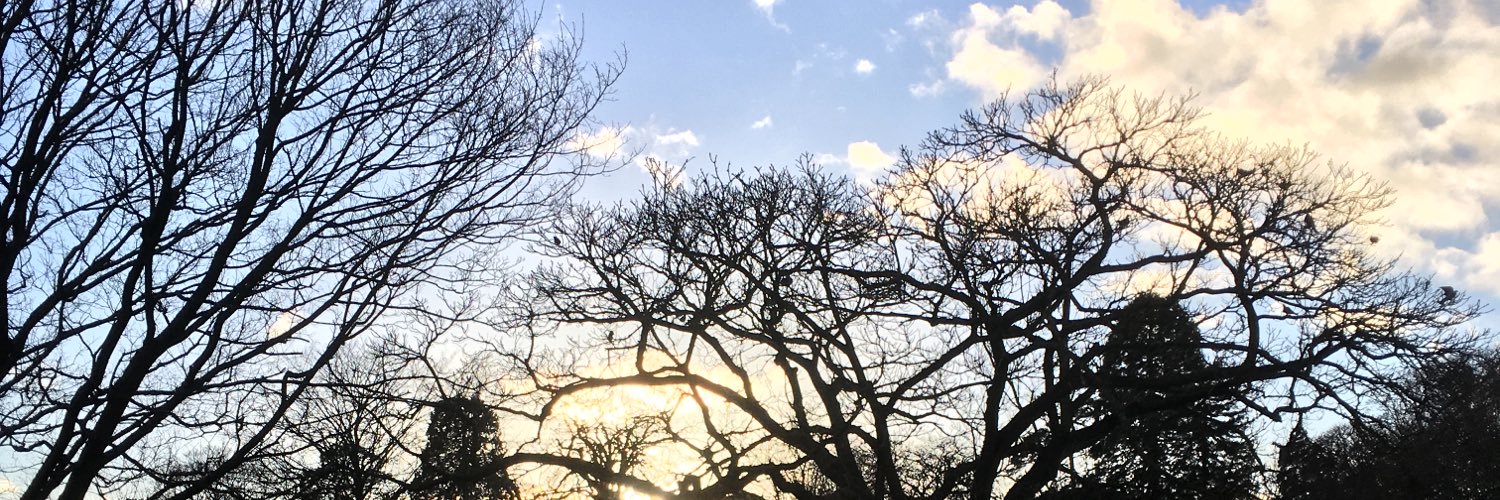 FranBoe24's profile banner image
