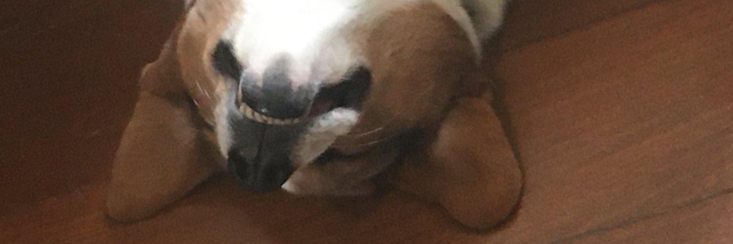 Ramirez banner