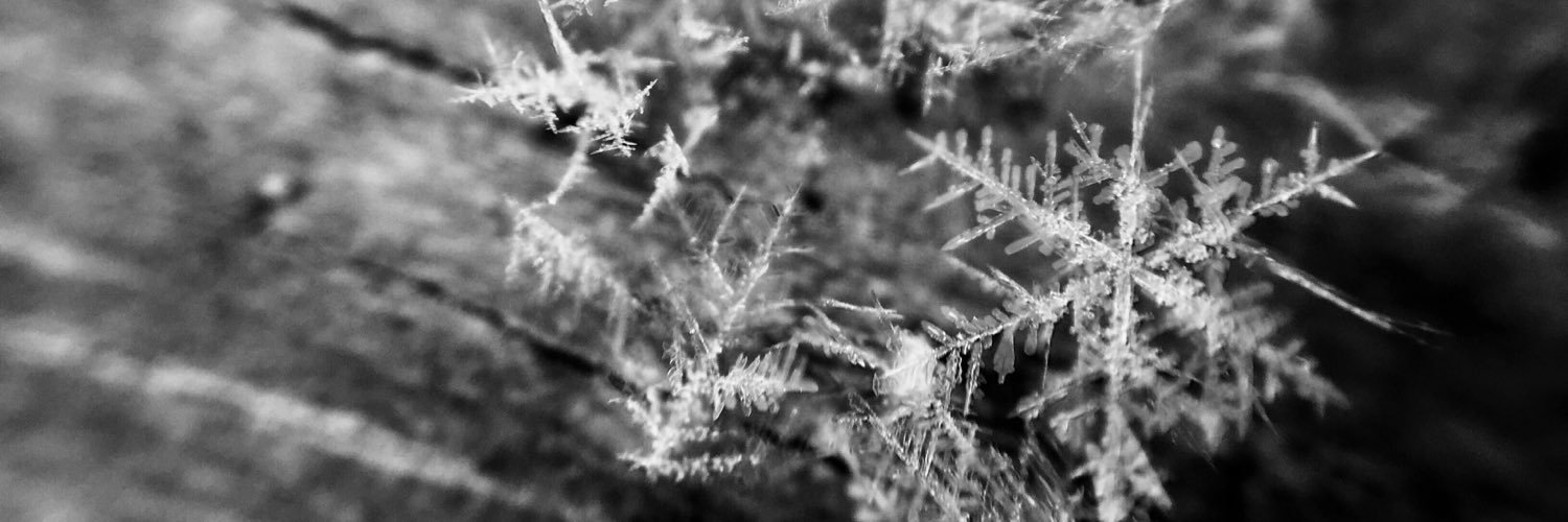 Sarah Thompson banner