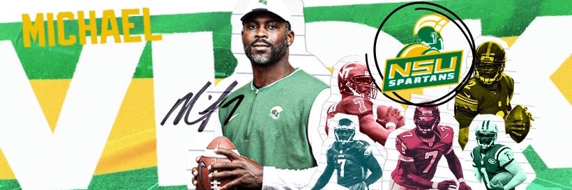 Michael Vick's banner