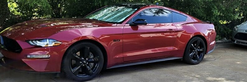 Matthew Penny banner