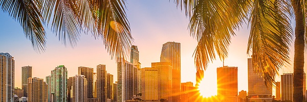 psharmadoc Profile Banner