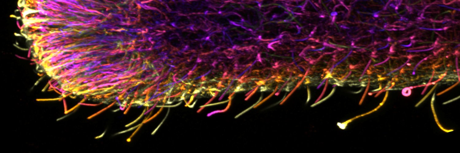 Philip Ruthig banner